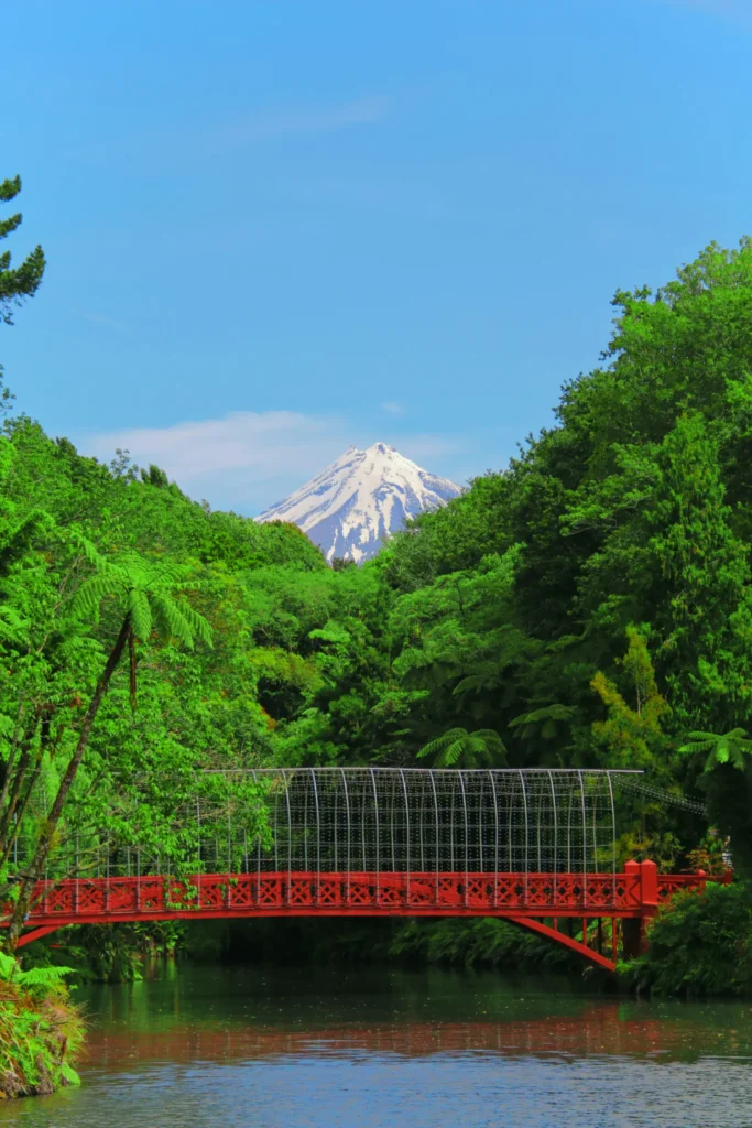 Forest Adventure Fuji